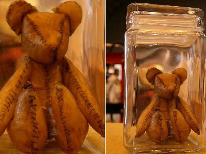 This Is A Teddy Bear Made Out Of Human Placenta