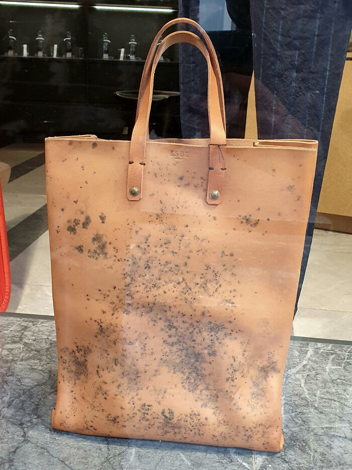 This ~$960 Bag Which Looks Like There's Mold On It