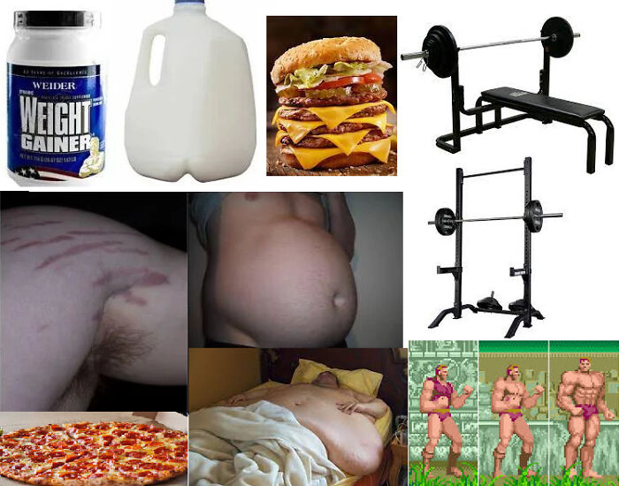 Bulking Phase Starter Pack