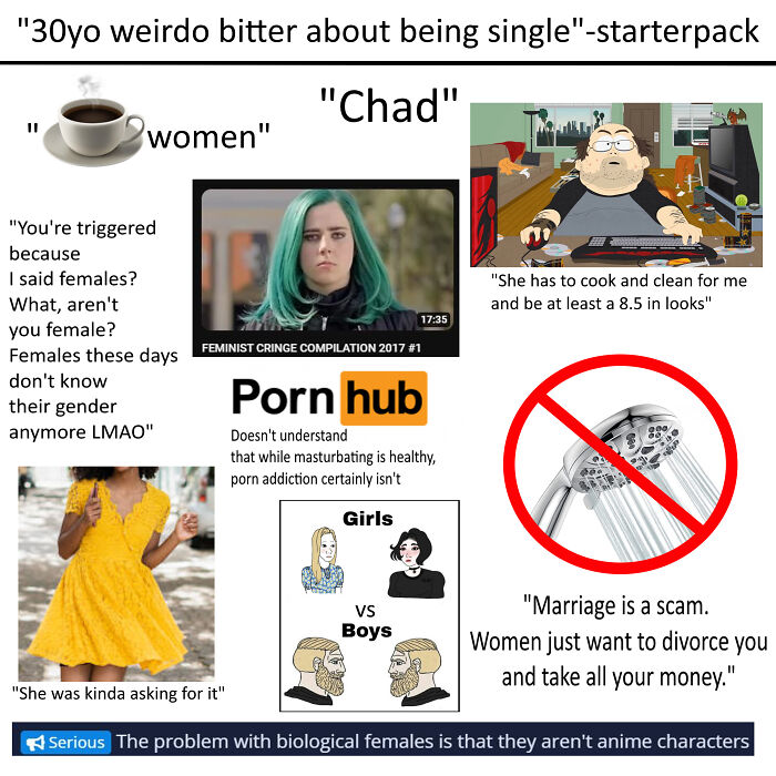 "30yo Weirdo Bitter About Being Single"-Starterpack