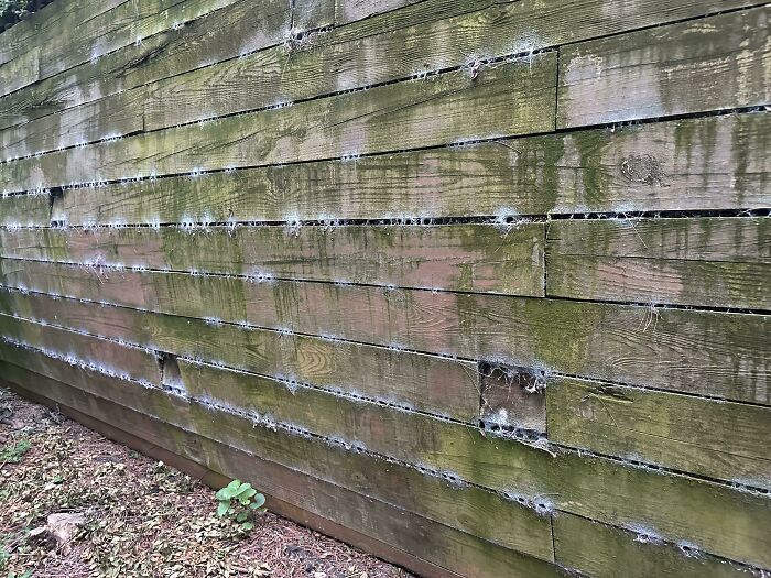 My Friends Retaining Wall Outside In His Yard