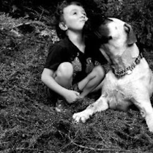 hollymarshall avatar