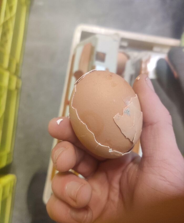 This Egg Had Two Full Layers Of Egg Shell