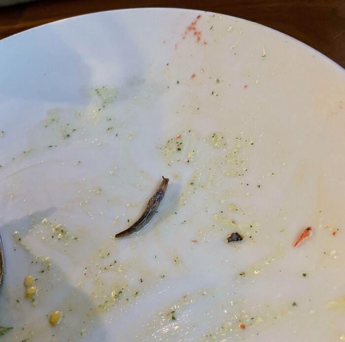 My Girlfriend Found A Slug In Her Salad After She Ate The Whole Thing