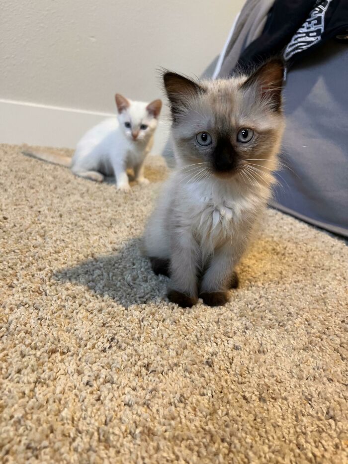 Meet Mae And Ted