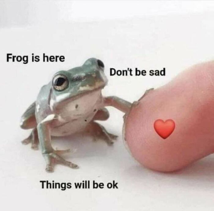 Frog Will Look After You
