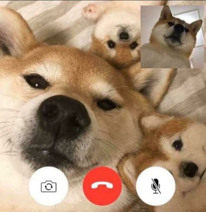 Blessed Video Call