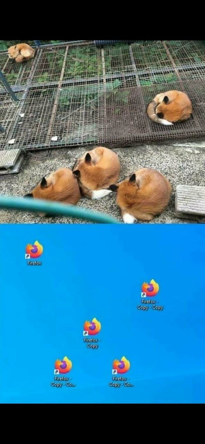 Blessed Firefox