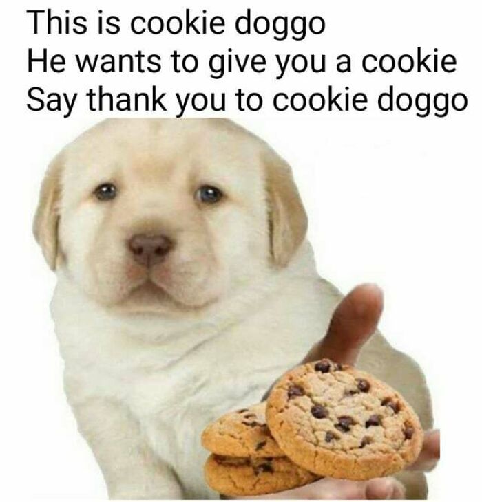 Cookie Doggo