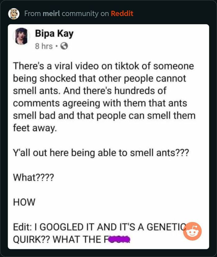 Y’all Out Here Being Able To Smell Ants???