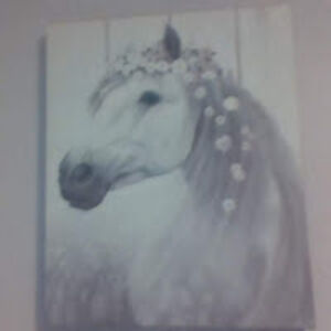 mikayladuschl avatar