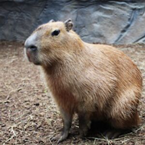 ethanstoltzman avatar