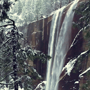 carlitobandidos avatar