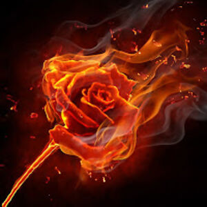 viktoriavlacsovics avatar