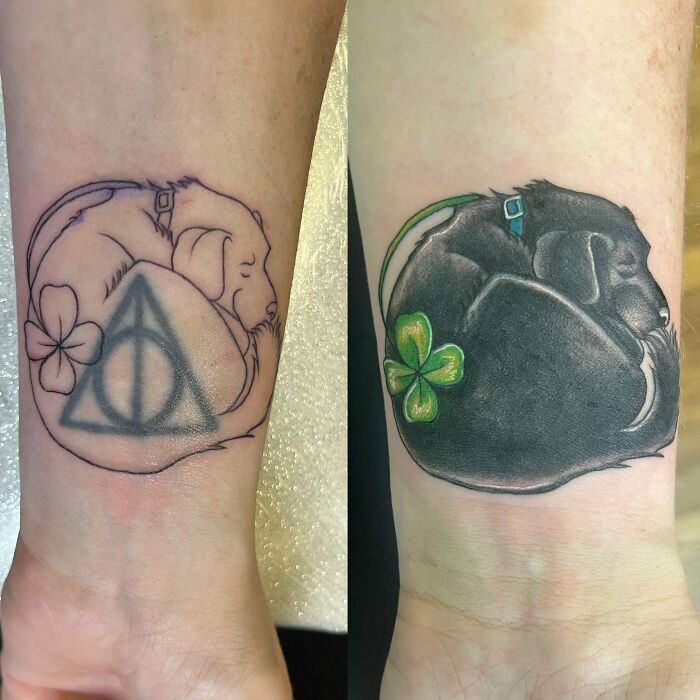 Deathly Hallows Coverup