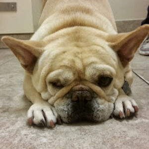 brianmooneymrmelooney avatar