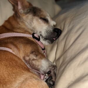 mikkitolliver9 avatar