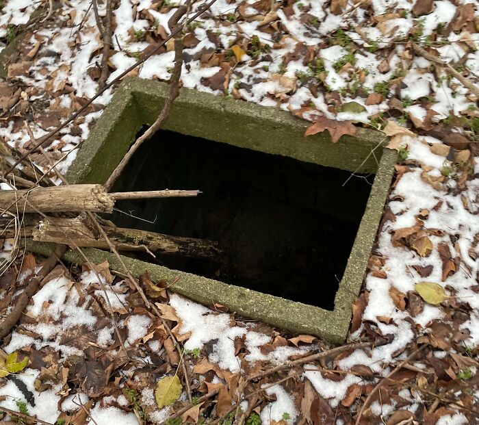 So I Found This Hole On My Property