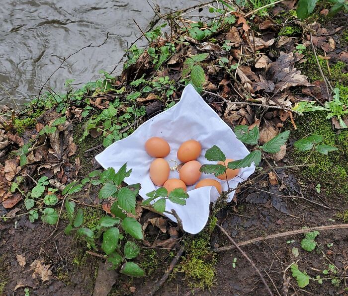 Inexplicable Eggs, Presented In A Handkerchief With Some Change And A Ring