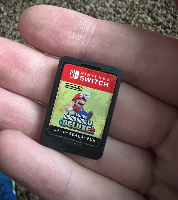 There Was A Big Storm Last Night (UK), I Kid You Not, I’ve Just Found This Game In My Garden