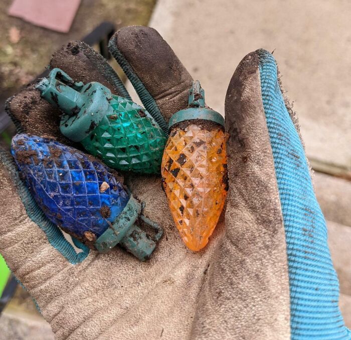 We've Begun To Find The Lights The Squirrel Stole From Us Over The Holidays