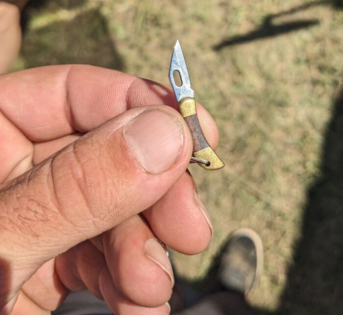 I Found A Tiny Pocket Knife At A Music Festival