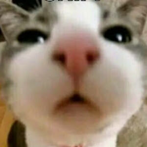 alexslaboda_1 avatar