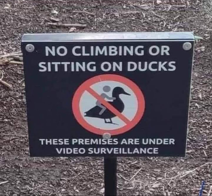 No subirse o sentarse en los patos. Esta zona está bajo videovigilancia