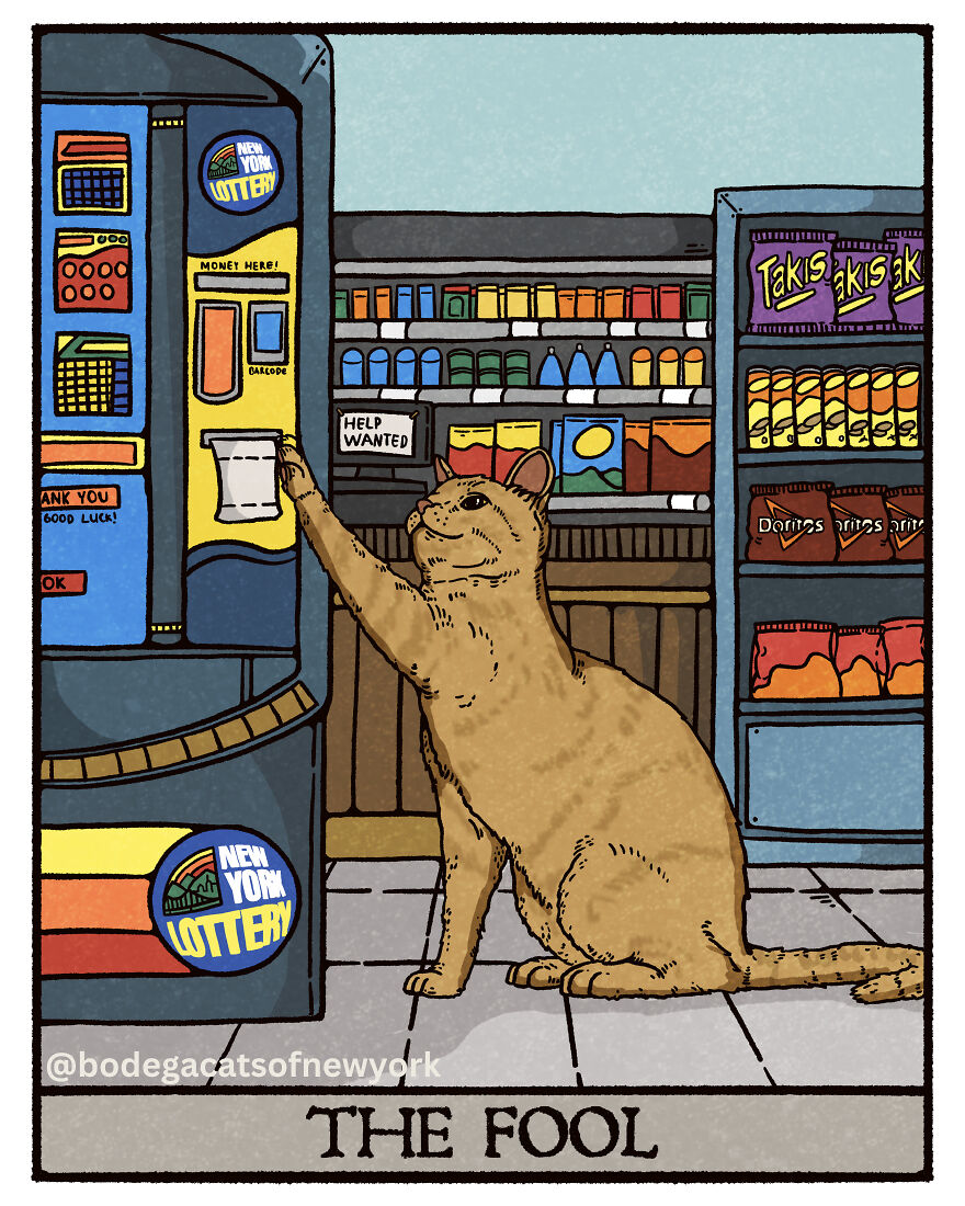 Check Out The First 7 Cards From The Upcoming Bodega Cats Tarot Deck Check Out The First 7 Cards From The Upcoming Bodega Cats Tarot Deck