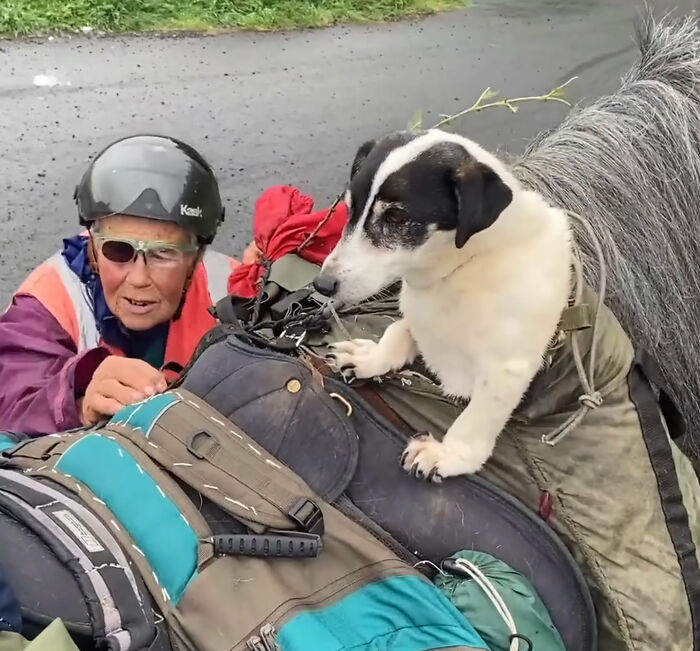 82 Y.O. Hiker Just Returned From Epic 600-Mile Horseback Journey With Her 10 Y.O. Dog In Tow