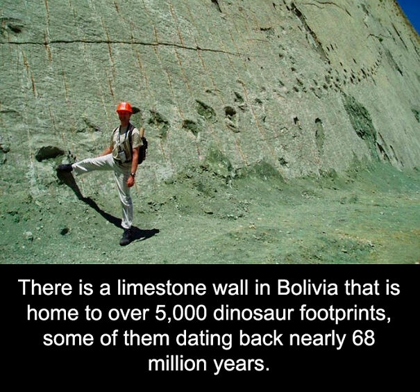 Unusual Facts