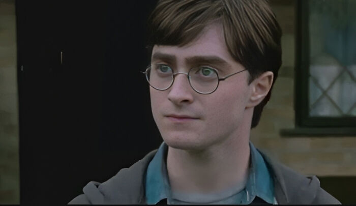 Potterheads Left In Tears Following Cut Harry Potter Scene Showing Dudley’s Sweet Gesture