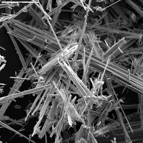 Anthophyllite_asbestos_SEM.jpg