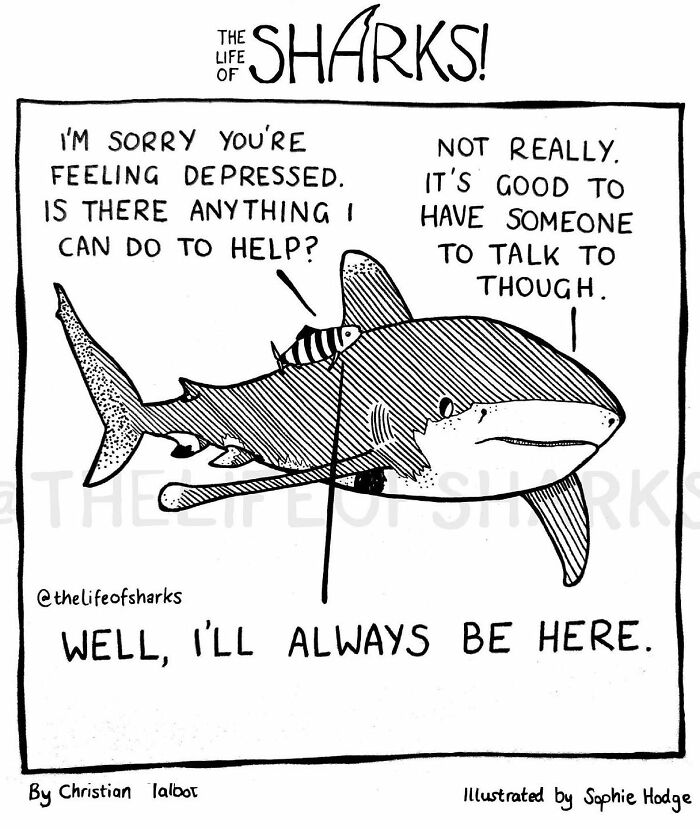 Artist Shows The Adventures Of Sharks And Their Interactions With Other Sea Creatures (New Pics)