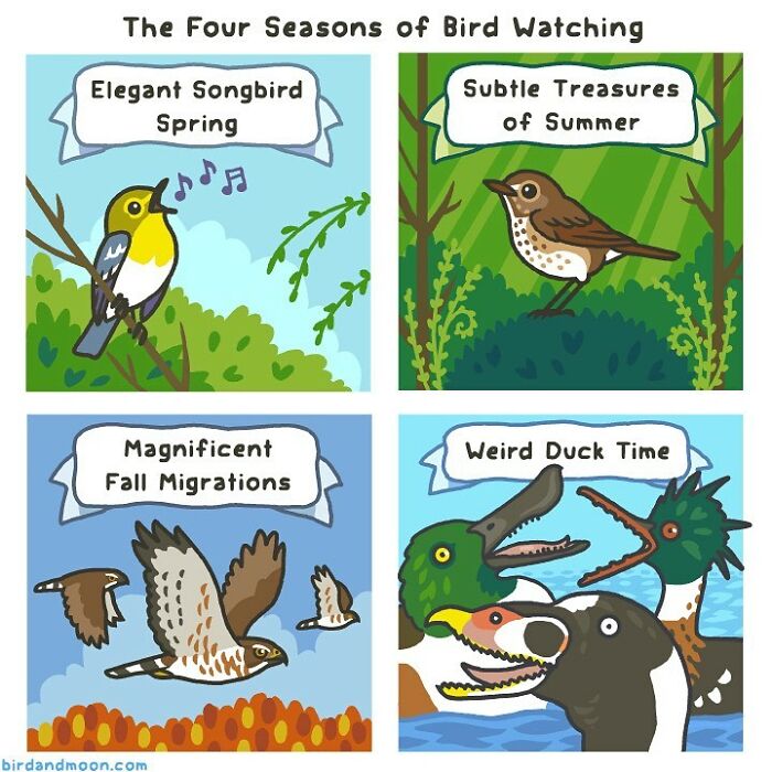Artist Creates Comics That Generally Focus On Humorous Moments In Science And Nature