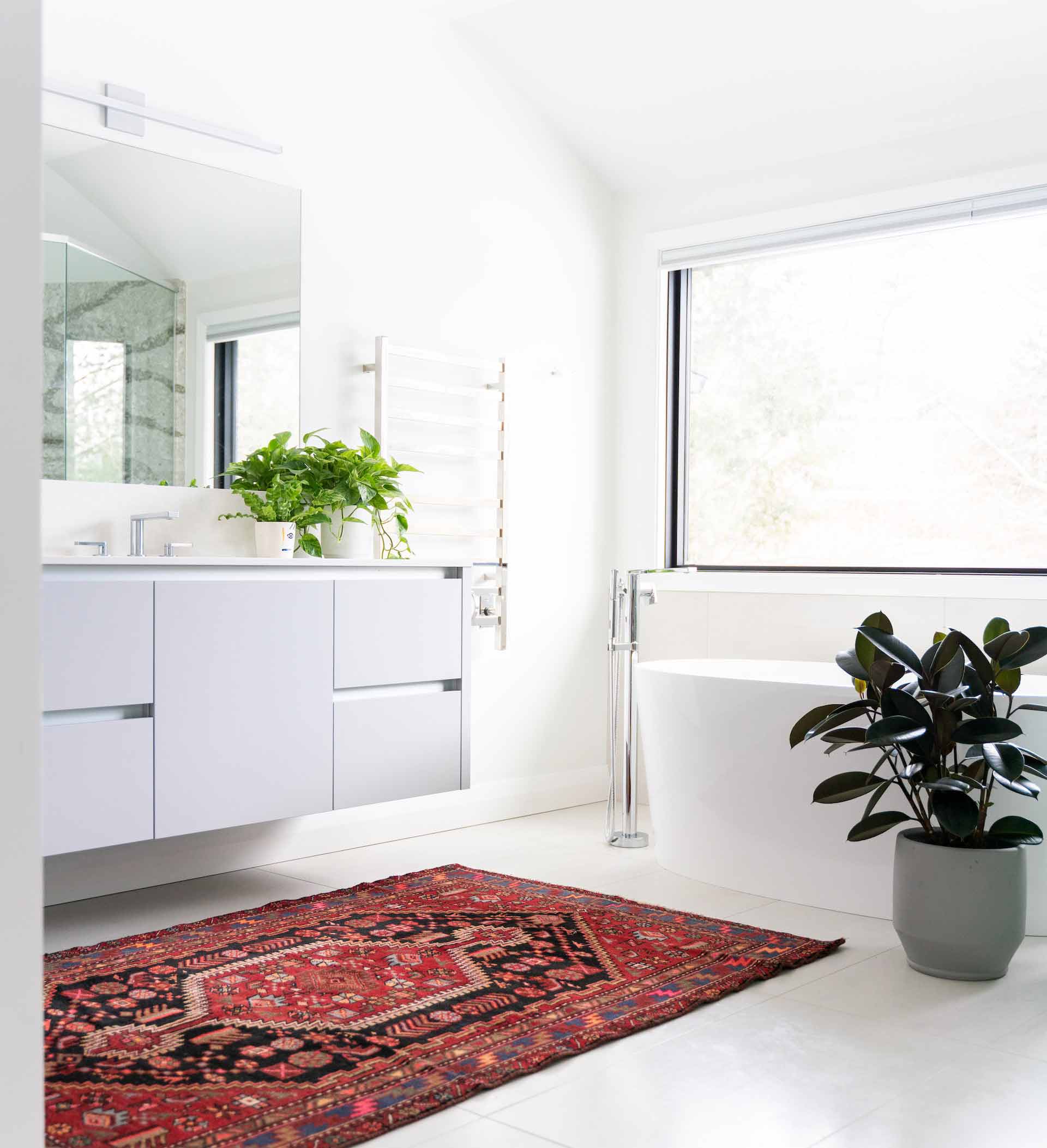 Bathroom with red carpet and plants in natural light