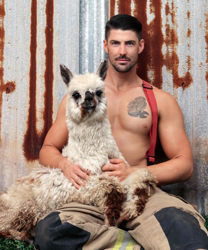 Australian-Firefighters-Charity-Animals-Calendar-2024