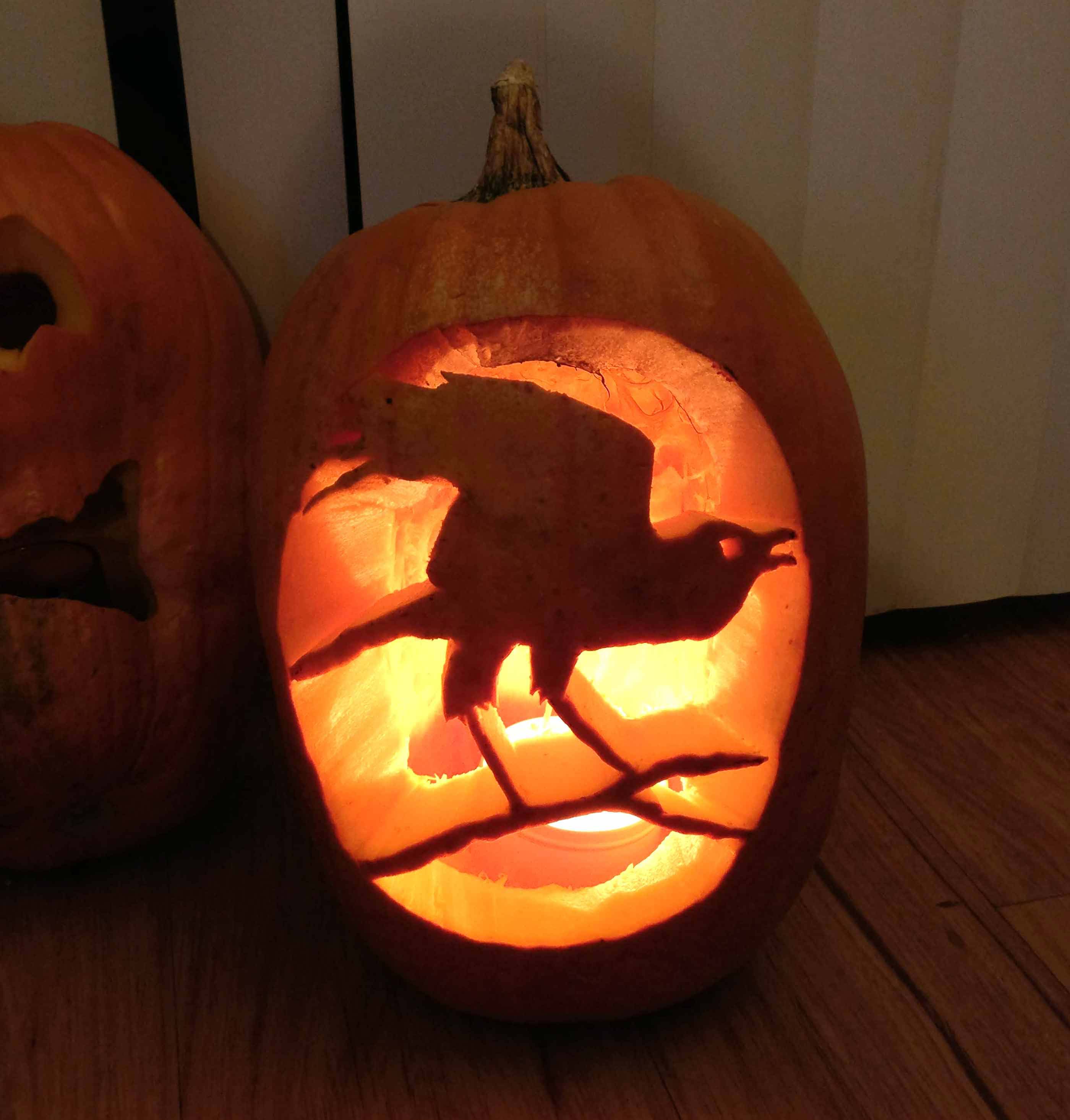 Carved lit pumpkin raven