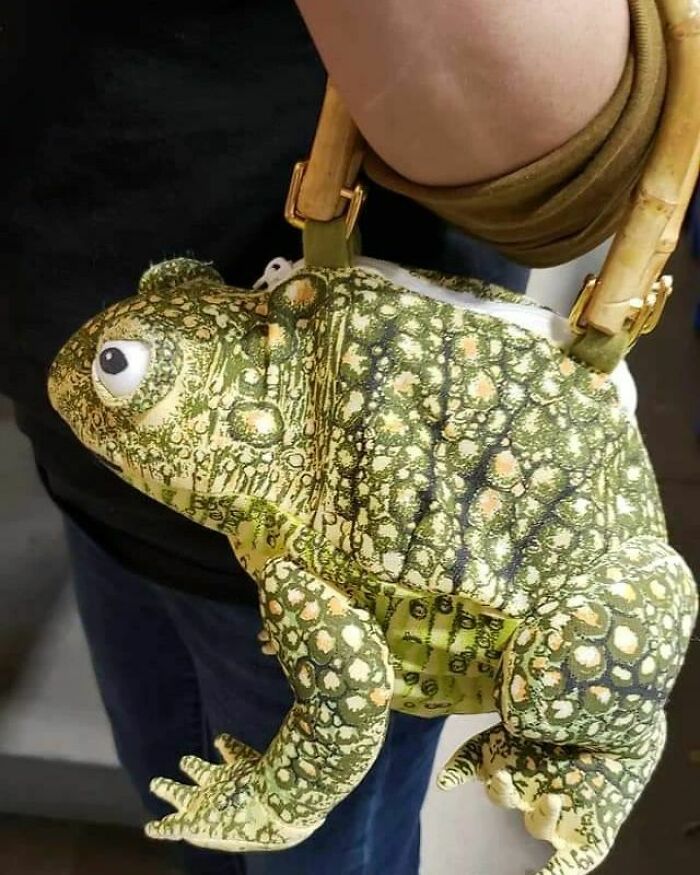 I See The Chicken Purses. And Raise You A Toadly Hilarious Purse. Still At Goodwill. Wi