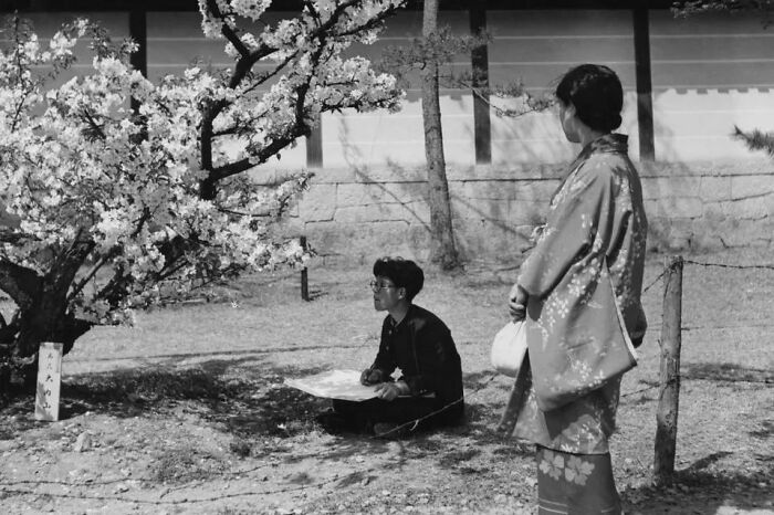 A Student Sitting Under A Cherry Tree Sketching The Blossom As A Woman In A Kimono Looks On, Japan, 1950s