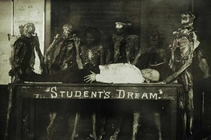 “A Student’s Dream”: It Was A Common Thing For Medical Students To Reverse The ‘Student/Patient’ Dynamic Creatively (As Though In A Dream) Where The Corpses Were Opperating On The Student