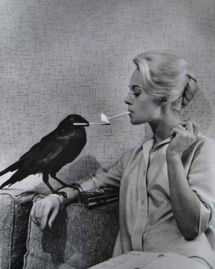 Tippi Hedren Having Her Cigarette Lit By A Crow On The Set Of The Birds