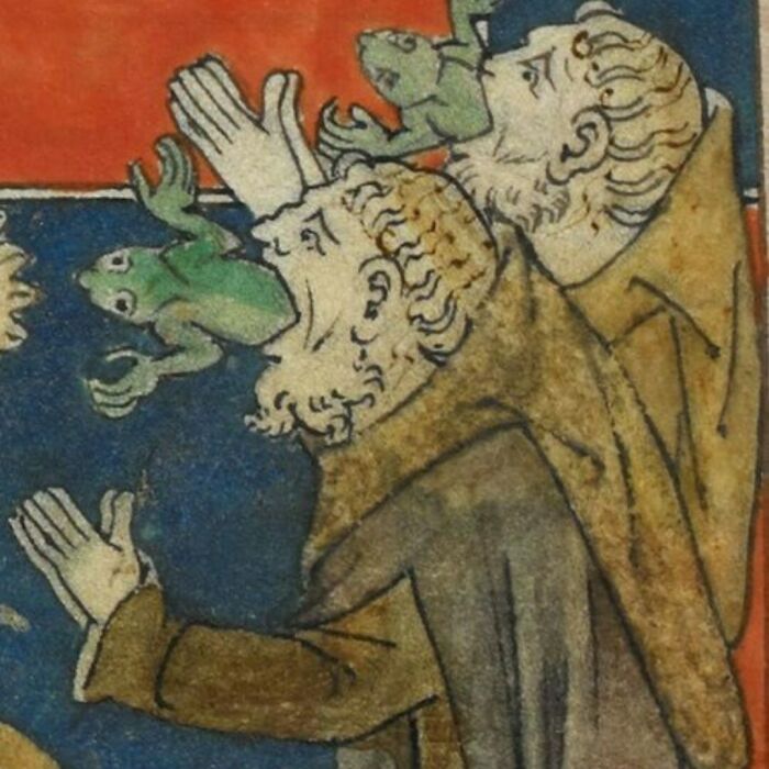 Medieval Frogs