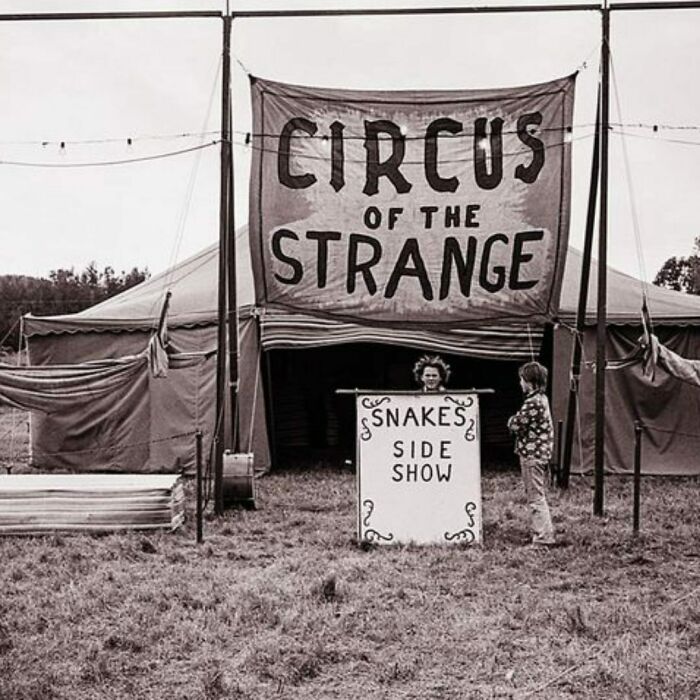 Circus Of The Strange