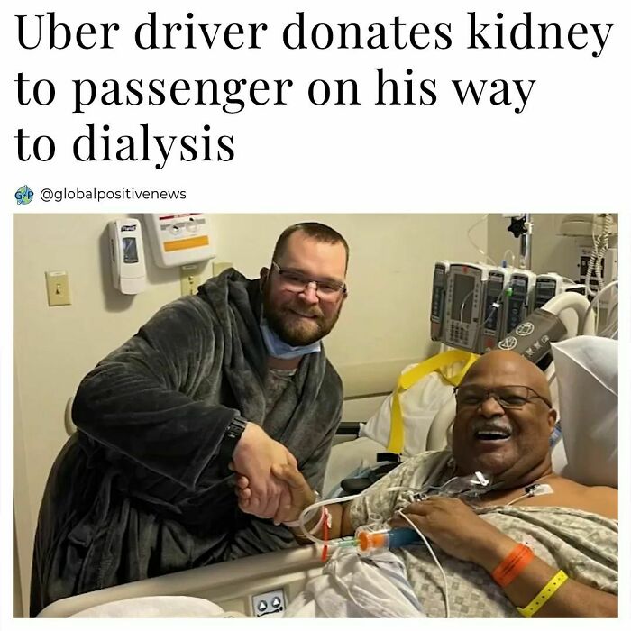 Wholesome-Global-Positive-News