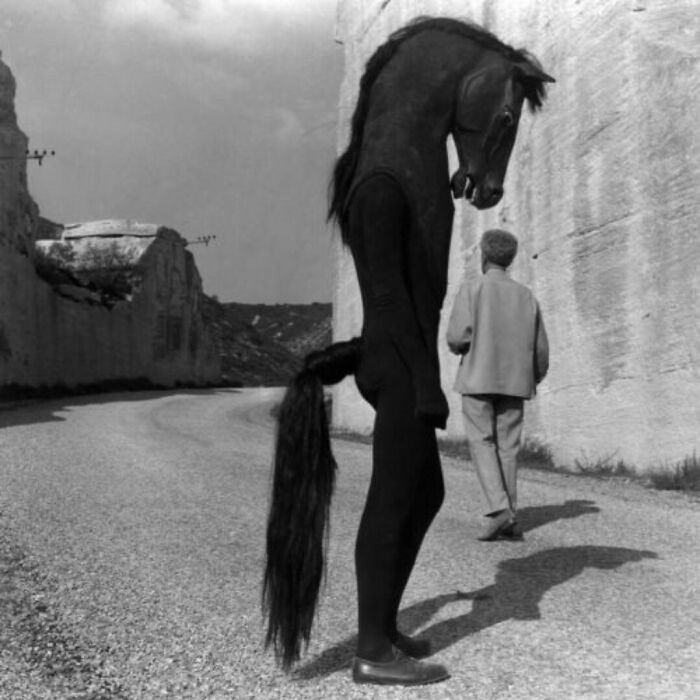 Horse Costume Taken From Jean Cocteau’s Le Testament D'orphée (Testament Of Orpheus), Designed By Janine Janet, 1960