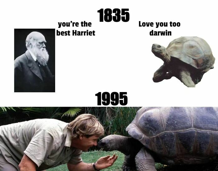 Insane To Think Charles Darwin And Steve Irwin Both Owned The Same Turtoise