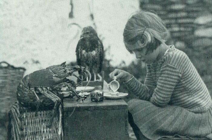 Ann Lockley Taking Tea With A Baby Hawk And A Lobster