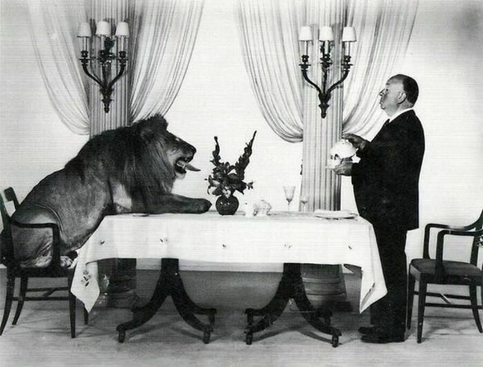 Alfred Hitchcock Serving Tea To Leo The Lion (The Mascot For The Hollywood Film Studio Mgm), 1957