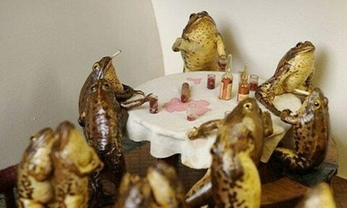 Exhibits From Froggyland, A Taxidermy Museum In Croatia. The Specimens Were Preserved In 1910-1920